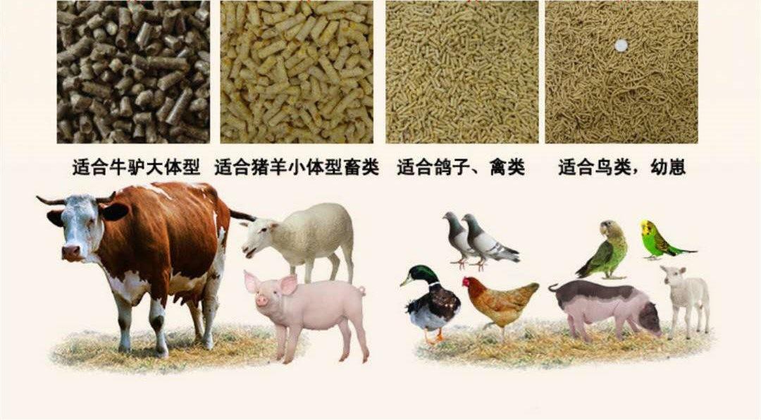 关于小型饲料颗粒机“不为人知”的秘密，养殖户必看