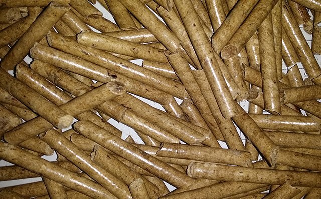 白松颗粒照片